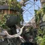 images (1)