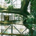 images (3)