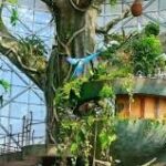 images (4)
