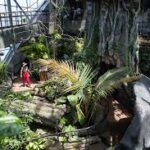 images (6)