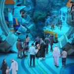 images (7)